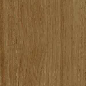 ǎ NX ̂Ȃ J LL-6106 Ebh uE ؖڒ rjnǎ LIGHT2025-2028 sR sR h