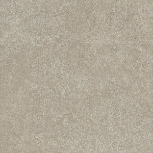 ǎ NX ̂Ȃ J LL-6121 Xg[EKE^C O[ Ζڒ rjnǎ LIGHT2025-2028 sR sR h