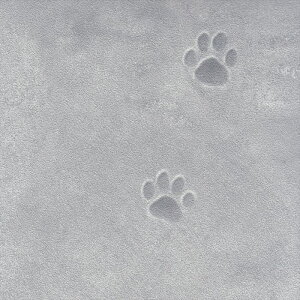 ǎ NX ̂Ȃ J LL-6135 Xg[EKE^C O[ RN[g rjnǎ LIGHT2025-2028 sR h