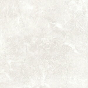 ǎ NX ̂Ȃ J LL-6145 Xg[EKE^C zCg Ζڒ rjnǎ LIGHT2025-2028 sR h