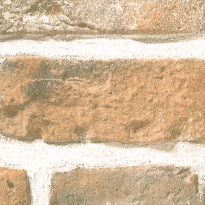 y12/11 01:59܂ŁIő1~OFFP2{zǎ NX ̂Ȃ J LL-6160 Xg[EKE^C uE K rjnǎ LIGHT2025-2028 sR sR h