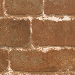 ǎ NX ̂Ȃ J LL-6161 Xg[EKE^C uE K rjnǎ LIGHT2025-2028 sR sR h