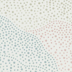 ǎ NX ̂Ȃ J LL-6226 kioi x[W a rjnǎ LIGHT2025-2028 sR sR h gbvR[g