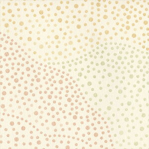 ǎ NX ̂Ȃ J LL-6227 kioi x[W a rjnǎ LIGHT2025-2028 sR sR h gbvR[g