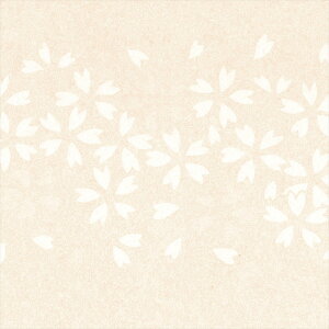 yő500~OFFP2{zǎ NX ̂Ȃ J LL-6239 kioi sN a rjnǎ LIGHT2025-2028 sR sR h