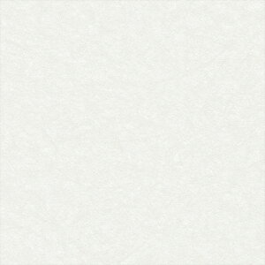 yő500~OFFP2{zǎ NX ̂Ȃ J LL-6242 kioi zCg a rjnǎ LIGHT2025-2028 sR sR h gbvR[g