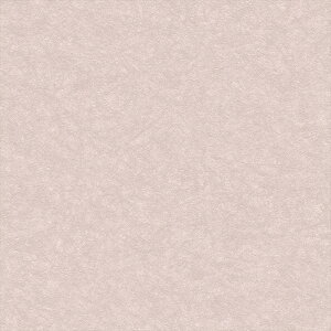 yő500~OFFP2{zǎ NX ̂Ȃ J LL-6245 kioi sN a rjnǎ LIGHT2025-2028 sR sR h gbvR[g