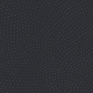 ǎ NX ̂Ȃ J LL-6246 kioi ubN a rjnǎ LIGHT2025-2028 sR sR h gbvR[g