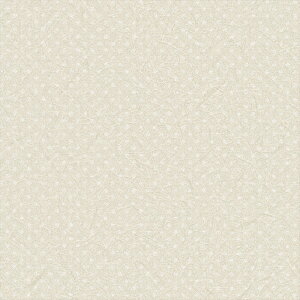 yő500~OFFP2{zǎ NX ̂Ȃ J LL-6247 kioi x[W a rjnǎ LIGHT2025-2028 sR sR h gbvR[g