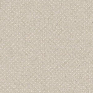 ǎ NX ̂Ȃ J LL-6248 kioi x[W a rjnǎ LIGHT2025-2028 sR sR h gbvR[g