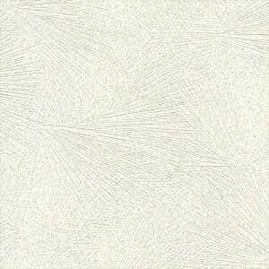 ǎ NX ̂Ȃ J LL-6275 Wp x[W a rjnǎ LIGHT2025-2028 sR h