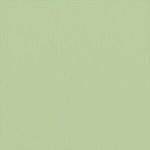 yX[p[SALEN[|zzzǎ NX ̂Ȃ J LL-6311 Lilycolor British Colours O[ VvEx[VbN rjnǎ LIGHT2025-2028 sR sR h R gb