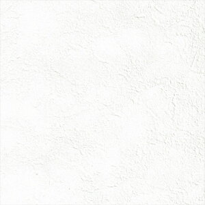 ǎ NX ̂Ȃ J LL-6333 eNX`[ Ζ zCg VvEx[VbN rjnǎ LIGHT2025-2028 sR h