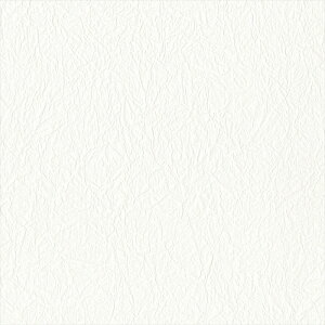 y1P2{zǎ NX ̂Ȃ J LL-6384 eNX`[ D zCg VvEx[VbN rjnǎ LIGHT2025-2028 sR sR h