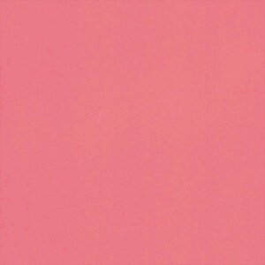 y1P2{zǎ NX ̂Ȃ J LL-6477 J[oG[V sN VvEx[VbN rjnǎ LIGHT2025-2028 sR sR h \ʋ gbvR[g