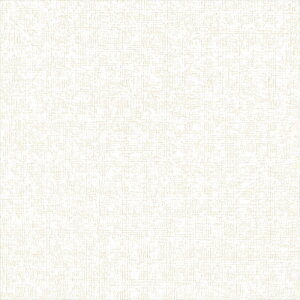 ǎ NX ̂Ȃ J LL-6541 V zCg VvEx[VbN rjnǎ LIGHT2025-2028 sR h