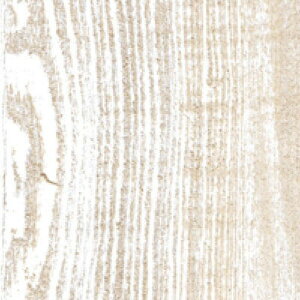 ǎ NX ̂Ȃ gL TWP9173 PINEBULL pCu 2023-2026 Ebh x[W Jg[Eؖ rjnǎ sR sR h