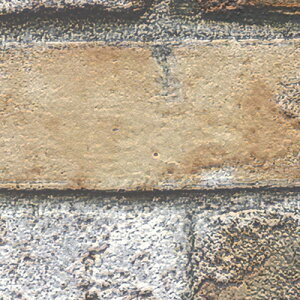 ǎ NX ̂Ȃ gL TWP9212 PINEBULL pCu 2023-2026 RN[gEK }`J[ C_XgAEΖڒEK rjnǎ sR sR h