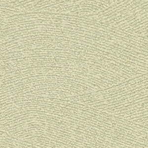 ǎ NX ̂Ȃ gL TWP9312 PINEBULL pCu 2023-2026 a O[ a rjnǎ sR h