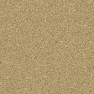 yő500~OFFP2{zǎ NX ̂Ȃ gL TWP9337 PINEBULL pCu 2023-2026 a uE a nǎ sR h