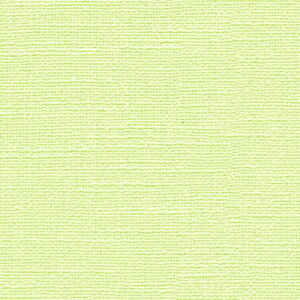 �y���Ԍ��聚�ő�2000�~�N�[�|���z�ǎ� �N���X �̂�Ȃ� �g�L�� TWP9584 PINEBULL �p�C���u�� 2023-2026 ����h�~+���L �O���[�� �V���v���E�x�[�V�b�N�E�D���� �����r�j�������n�ǎ� ���s�R �h���� 