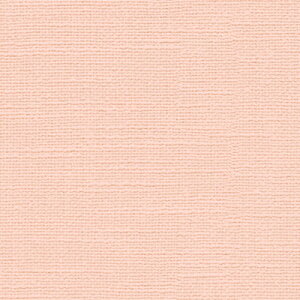 �y���Ԍ��聚�ő�2000�~�N�[�|���z�ǎ� �N���X �̂�Ȃ� �g�L�� TWP9585 PINEBULL �p�C���u�� 2023-2026 ����h�~+���L �s���N �V���v���E�x�[�V�b�N�E�D���� �����r�j�������n�ǎ� ���s�R �h���� ��