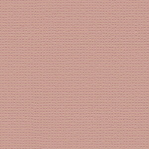 y1P2{zǎ NX ̂Ȃ gL TWP9595 PINEBULL pCu 2023-2026 yfp[L sN VvEx[VbNED rjnǎ sR h