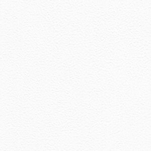 yő1000~N[|P2{zǎ NX ̂Ȃ gL TWP9693 PINEBULL pCu 2023-2026 vWFN^[pNX zCg VvEx[VbNEΖڒ rjnǎ sR s