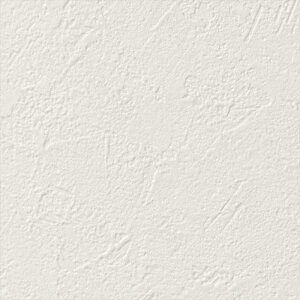 y1P2{zǎ NX ̂Ȃ TQc RE55464 ReSERVE2024-2027 X[p[ϋv zCg VvEx[VbN rjnǎ sR h h~ R RA