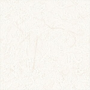 ǎ NX ̂Ȃ TQc RE55691 ReSERVE2024-2027 a zCg a rjnǎ sR h