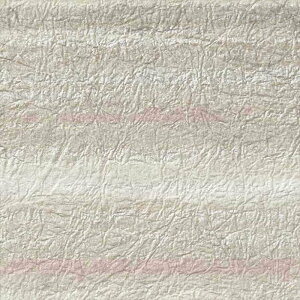 壁紙 クロス のりなし サンゲツ RE55705 ReSERVE2024-2027 和 ベージュ 和風 塩化ビニル樹脂系壁紙 準不燃 防かび 抗菌 撥水