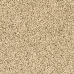 壁紙 クロス のりなし サンゲツ RE55713 ReSERVE2024-2027 和 ベージュ 和風 塩化ビニル樹脂系壁紙 準不燃 防かび