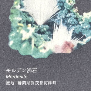 ǎ NX ̂Ȃ TQc RE55944 ReSERVE2024-2027 Ȋw O[ i` rjnǎ sR h