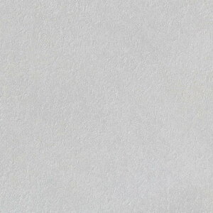 yBF聚ő5000~OFFP2{zǎ NX ̂Ȃ TQc TH32012 FAITH tFCX 2022-2025 Shades of Air n Ζڒ h蒲 sR h~ R \ʋ 