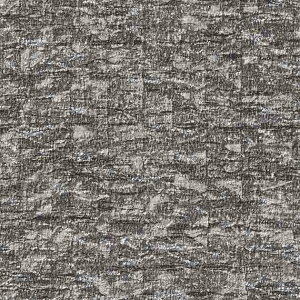 ǎ NX ̂Ȃ TQc TH32065 FAITH tFCX 2022-2025 process#100 n Ζڒ h蒲 sR