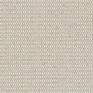 �y�ő�2000�~�N�[�|���z�ǎ� �N���X �̂�Ȃ� �T���Q�c TH32288 FAITH �t�F�C�X 2022-2025 Texture&Color ���n �D���� ���s�R ����h�~ �R�� ����