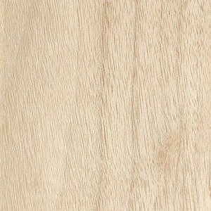 yBF聚ő5000~OFFP2{zǎ NX ̂Ȃ TQc TH32614 FAITH tFCX 2022-2025 Ebh PROGRESS WOOD n ؖ sR