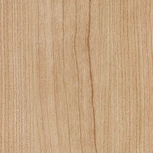 yBF聚ő5000~OFFP2{zǎ NX ̂Ȃ TQc TH32625 FAITH tFCX 2022-2025 Ebh PROGRESS WOOD Ԍn ؖ sR