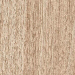 yBF聚ő5000~OFFP2{zǎ NX ̂Ȃ TQc TH32654 FAITH tFCX 2022-2025 Ebh eZRENX n ؖ sR