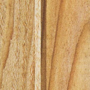 yBF聚ő5000~OFFP2{zǎ NX ̂Ȃ TQc TH32673 FAITH tFCX 2022-2025 Ebh n ؖ sR R