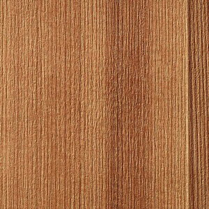 yX[p[SALEN[|zzzǎ NX ̂Ȃ TQc TH32674 FAITH tFCX 2022-2025 Ebh n ؖ sR