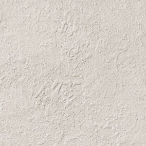 yBF聚ő5000~OFFP2{zǎ NX ̂Ȃ TQc TH32714 FAITH tFCX 2022-2025 }eA n Ζڒ h蒲 sR