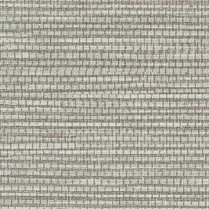 yBF聚ő5000~OFFP2{zǎ NX ̂Ȃ TQc TH32783 FAITH tFCX 2022-2025 ARTE n D sR