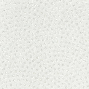 ǎ NX ̂Ȃ TQc TH32819 FAITH tFCX 2022-2025 a n a sR