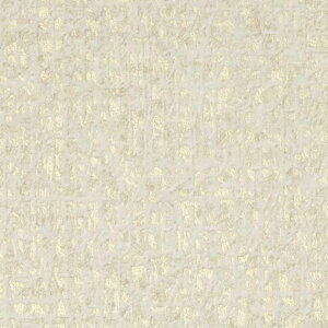 ǎ NX ̂Ȃ TQc TH32831 FAITH tFCX 2022-2025 a n a sR