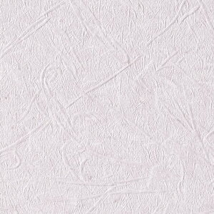 ǎ NX ̂Ȃ TQc TH32841 FAITH tFCX 2022-2025 a n a sR R