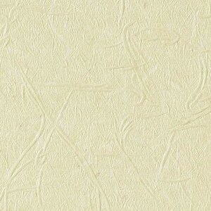 壁紙 クロス のりなし サンゲツ TH32842 FAITH フェイス 2022-2025 和 緑系 和風 準不燃 抗菌