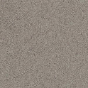 壁紙 クロス のりなし サンゲツ TH32844 FAITH フェイス 2022-2025 和 黒系 和風 準不燃 抗菌