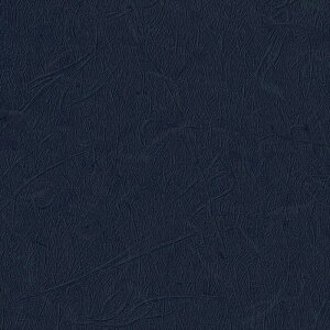 ǎ NX ̂Ȃ TQc TH32846 FAITH tFCX 2022-2025 a n a sR R