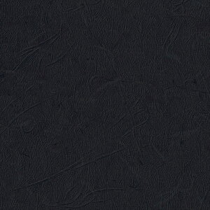 ǎ NX ̂Ȃ TQc TH32847 FAITH tFCX 2022-2025 a n a sR R